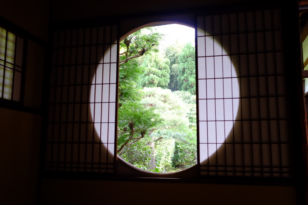 京都 芬陀院中庭