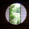京都 芬陀院中庭