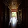 京都智積院 まもなく春 