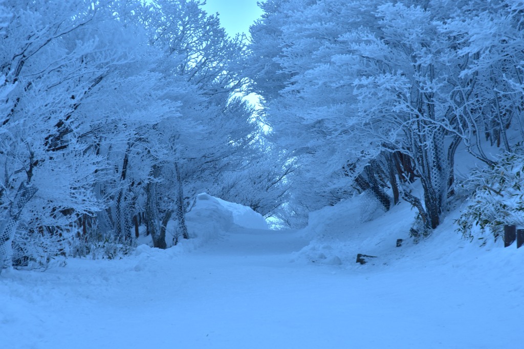 雪山トンネル