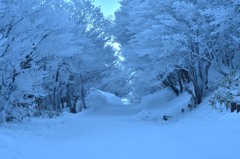 雪山トンネル