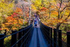 紅葉のつり橋