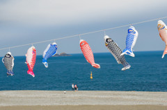 海空に泳ぐ鯉のぼりと一家団欒