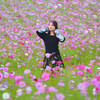 秋桜に包まれて
