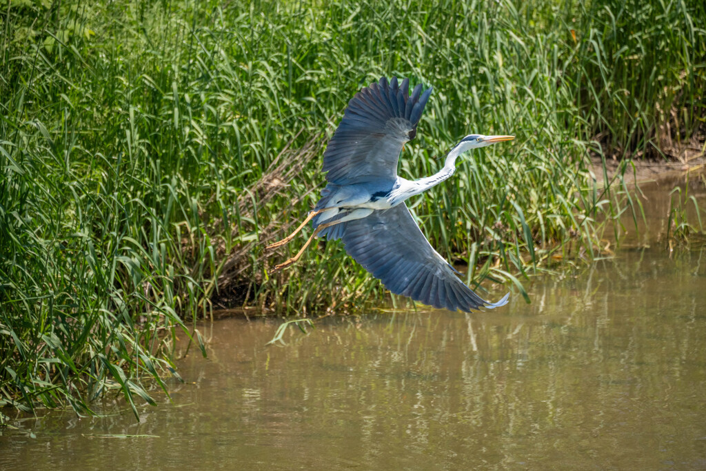 Take-off