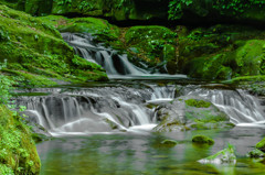 苔の沢