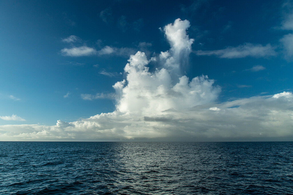 朝の海