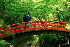 新緑の京都
