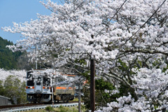 山村の春