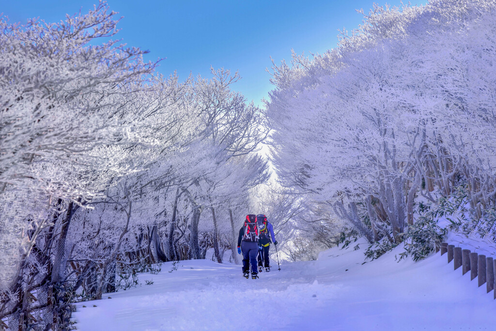 雪中ハイキング