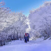 雪中ハイキング