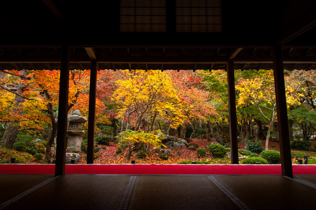 憧れの圓光寺