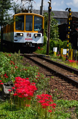 鉄道に癒されて