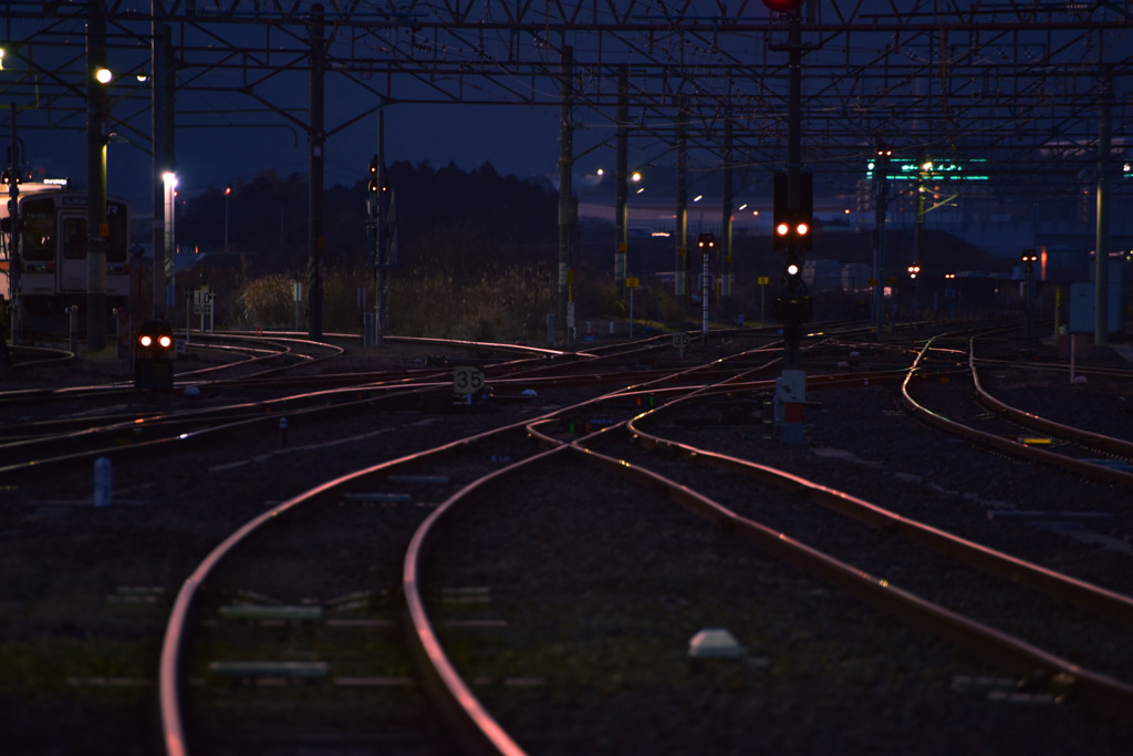 旅