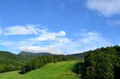 緑色のスキー場