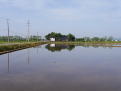 田んぼの中の風景