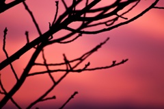 秋の夕暮れ