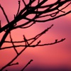 秋の夕暮れ