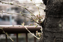 横向き