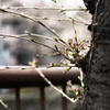 横向き