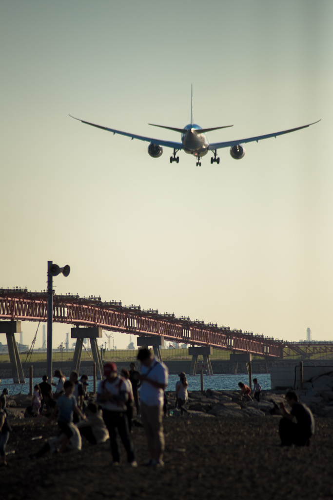 B787