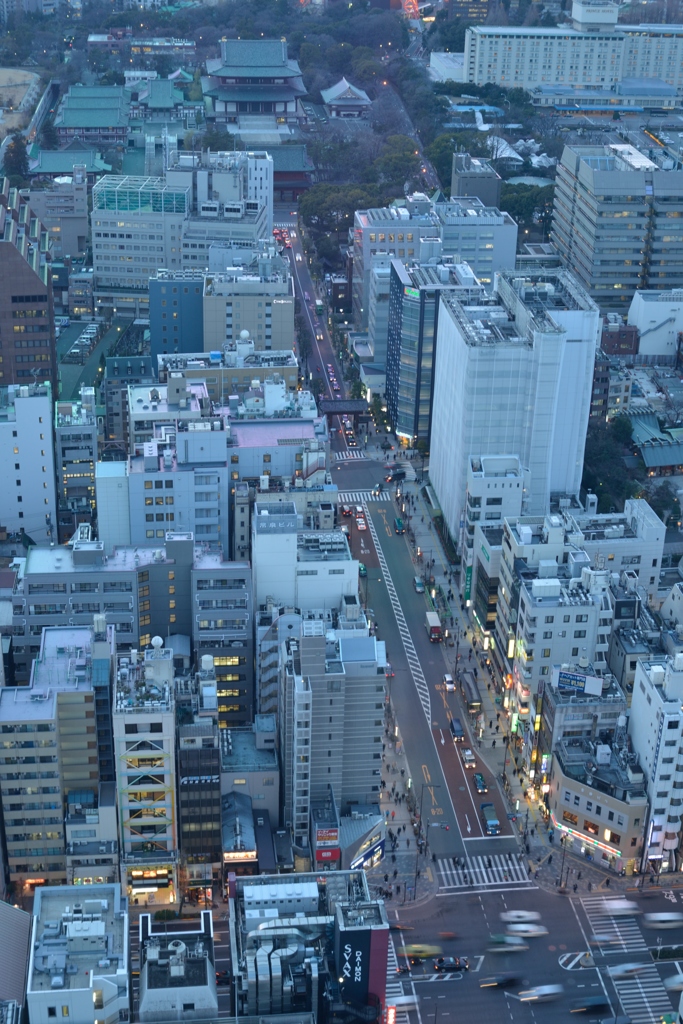 増上寺へ