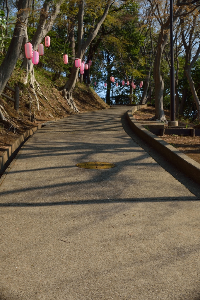公園へ