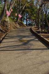 公園へ
