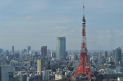 昼景