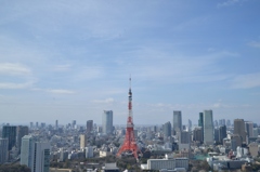 昼景
