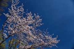 晴天2