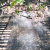 天気が良いと映えます。