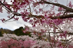 亀山湖
