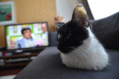 試し撮り