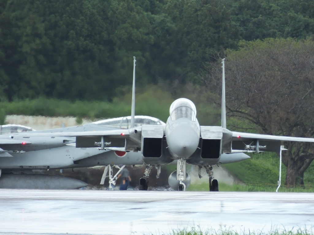これぞF-15