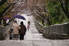 連れ添う力