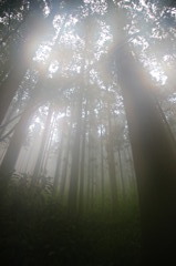 IMG_2372