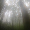 IMG_2372