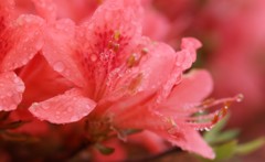 IMG_2505