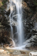 IMG_0386