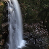 IMG_2651