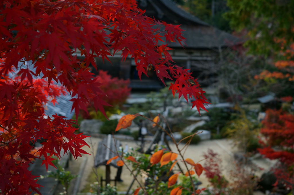 善水寺の紅葉