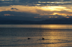 琵琶湖の夕暮れ