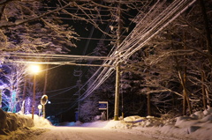 雪と電線