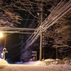 雪と電線