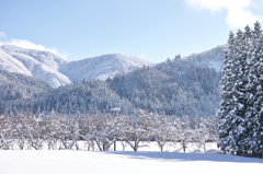 吹雪の夜が明けて里山