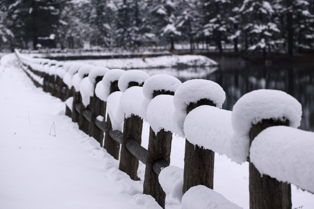 雪の日の散歩