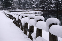 雪の日の散歩