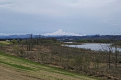 DP3M0380_DxO
