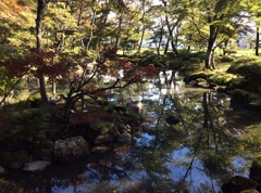 1-IMG_0046